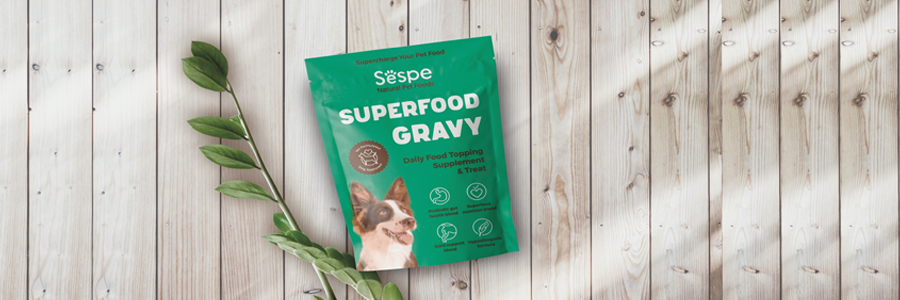 Superfood Pouch design