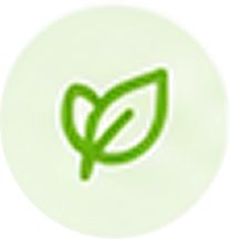 Sustainable Options